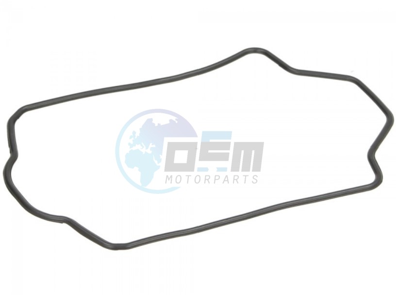 Product image: Piaggio - 487968 - Packing  0