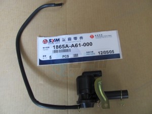 Product image: Sym - 1865A-A61-000 - AICV 