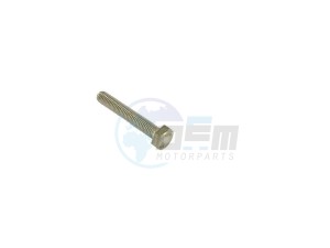 Product image: Rieju - 0/000.460.0481 - SCREW DIN 933 M8X50 S.S. 