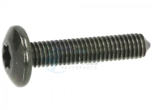 Product image: Vespa - CM179303 - Metric screw M6x30  