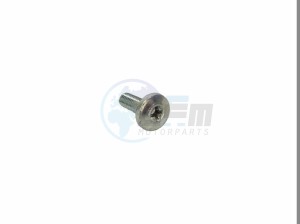 Product image: Rieju - 0/000.460.1170 - SCREW Phillips M5x16 Z/BLANCO 