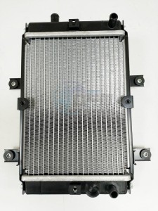 Product image: Sym - 19010-L1A-900 - RADIATOR COMP 