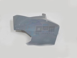 Product image: Sym - 64303-TL1-002-GG - R FR COVER GY-008C 