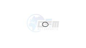 Product image: Cagiva - 800036380 - OIL SEAL 