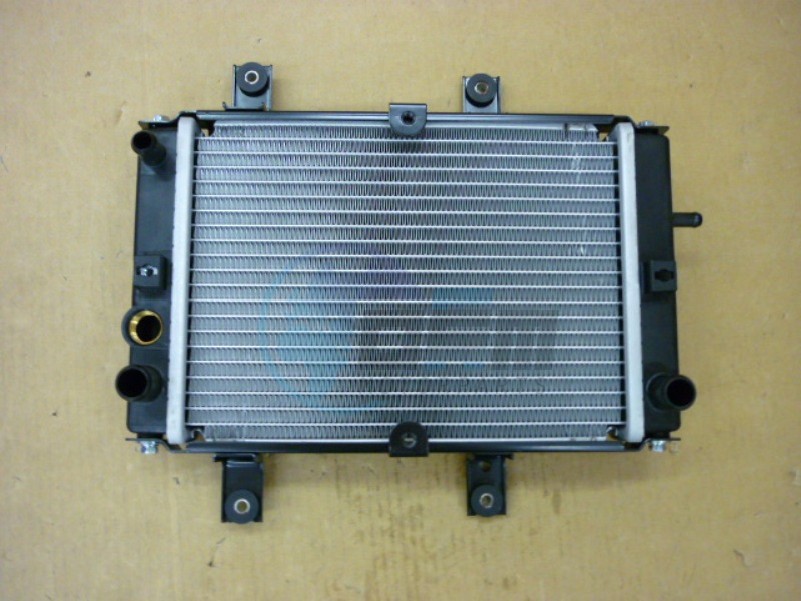 Product image: Sym - 19010-LEA-900 - RADIATOR COMP  0