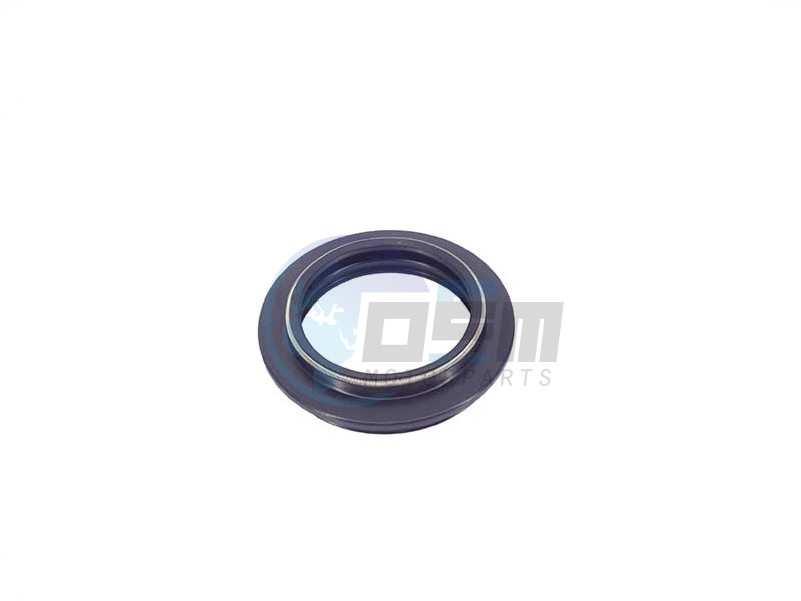 Product image: Rieju - 0/000.890.7002 - DUST COVER  0