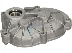 Product image: Gilera - 4874805 - Wheel hub cover with U.P. 