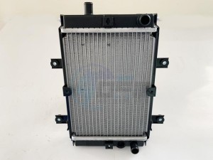 Product image: Sym - 19010-L3A-900 - RADIATOR COMP 