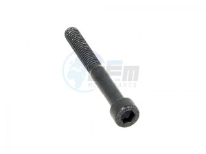 Product image: Aprilia - AP8150324 - HEX SOCKET SCREW M6X50 