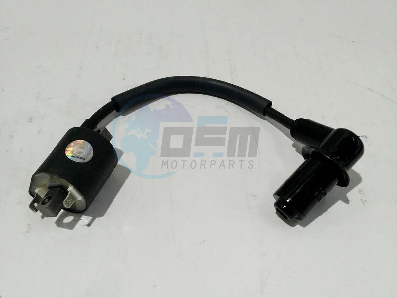 Product image: Sym - 3051A-L5B-000 - IGN. COIL ASSY  0