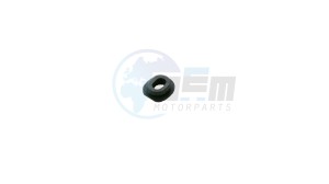 Product image: Cagiva - 800041874 - CUSHION, D24XD13XE9 