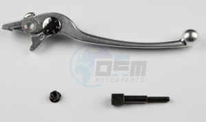 Product image: Suzuki - 57300-06G00 - Lever, Brake 