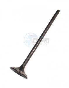 Product image: Vespa - 1A001435 - Valve, in 