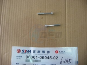 Product image: Sym - 96001-06045-02 - SH. FLANGE BOLT M6*45 