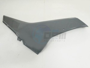 Product image: Sym - 64305-LM1-000-IW - R. FR. SIDE SPOILER  GY-009C 