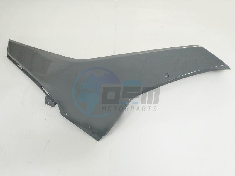 Product image: Sym - 64305-LM1-000-IW - R. FR. SIDE SPOILER  GY-009C  0