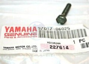 Product image: Yamaha - 970170602500 - BOLT, HEXAGON 