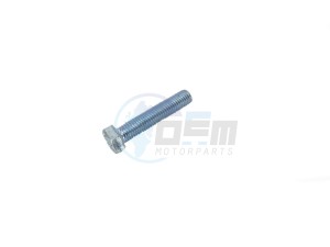 Product image: Rieju - 0/000.460.4101 - SCREW M8X30 