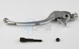 Product image: Suzuki - 57300-06G10 - Lever, Brake 