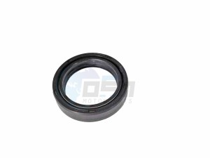 Product image: Rieju - 0/000.890.6008 - FORK SEAL 