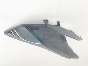 Product image: Sym - 64303-LM1-000-IW - R. FR SIDE COVER GY-009C 