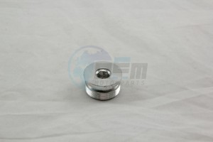 Product image: Rieju - 0/000.410.6010 - UPPER FORK MAIN PIPE CAP THREAD 150 