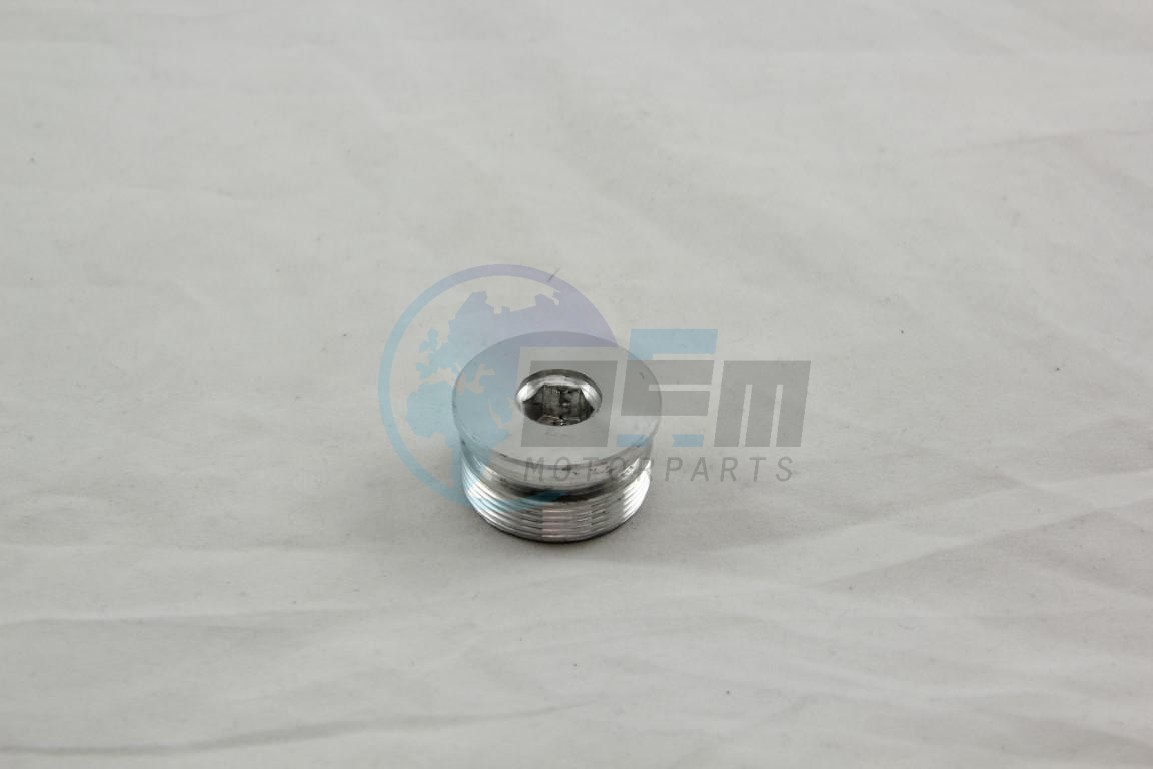 Product image: Rieju - 0/000.410.6010 - UPPER FORK MAIN PIPE CAP THREAD 150  0