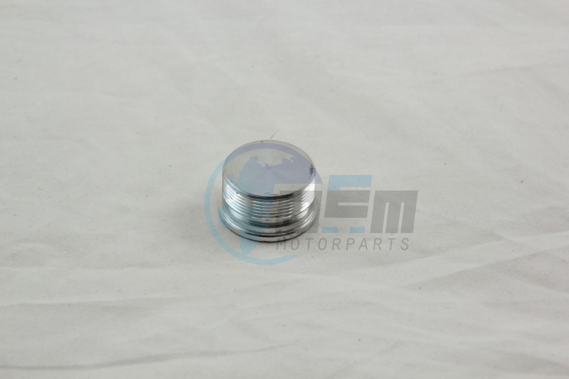 Product image: Rieju - 0/000.410.6010 - UPPER FORK MAIN PIPE CAP THREAD 150  1