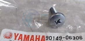 Product image: Yamaha - 901490630600 - SCREW(3JM) 