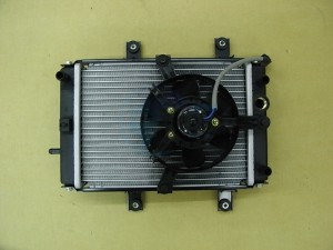 Product image: Sym - 19000-LEA-000 - RADIATOR ASSY 