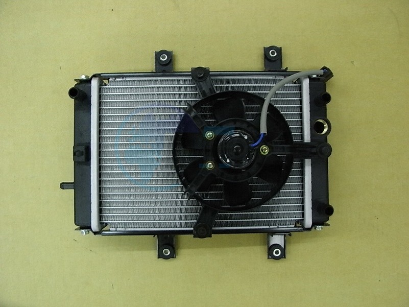 Product image: Sym - 19000-LEA-000 - RADIATOR ASSY.  0