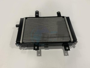 Product image: Sym - 19010-LH1-900 - RADIATOR COMP 