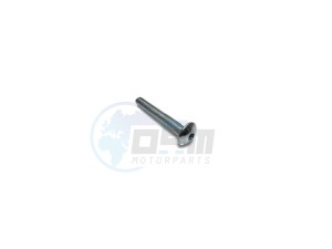 Product image: Rieju - 0/000.460.1191 - SCREW ISO 7380 SPE.M6.45 