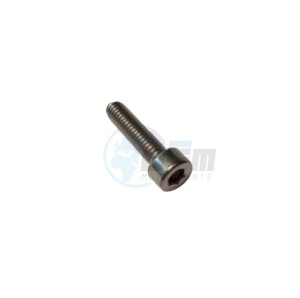 Product image: Gilera - 959559 - Hex socket screw M4x16 