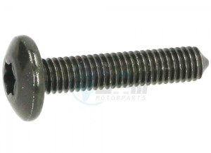 Product image: Aprilia - CM179303 - METRICAL  SCREW (TORX IMPRESSION) 