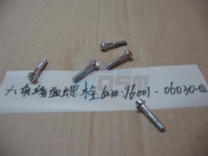 Product image: Sym - 96001-06030-02 - SH. FLANGE BOLT 6*30MM 